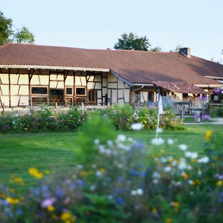 Domaine Des Brouilles Bed and Breakfast Malafretaz Buitenkant foto